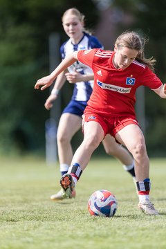 Bild 494 - wBJ Hamburger SV - Hertha BSC : Ergebnis: 5:2